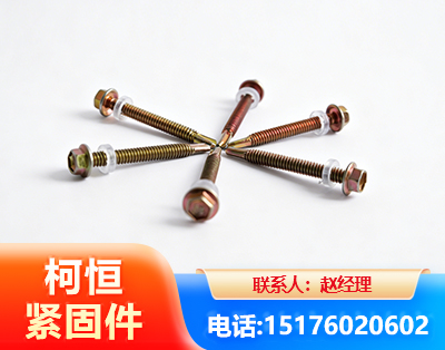 阿克苏六角钻尾丝
