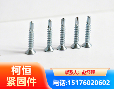 阿克苏平头钻尾丝