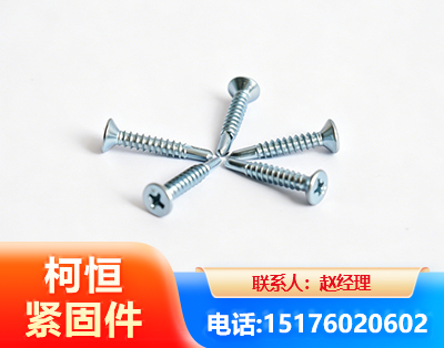 阿克苏平头钻尾丝