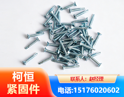 阿克苏平头钻尾丝